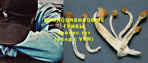 герыч Аркадак
