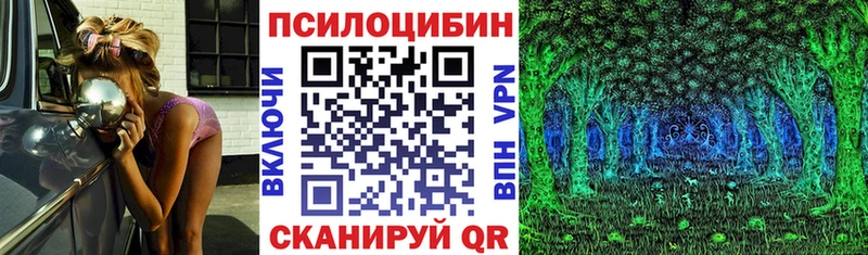 ОМГ ОМГ tor Кирово-Чепецк маркетплейс состав магазин продажи наркотиков Галлюциногенные грибы Magic Shrooms