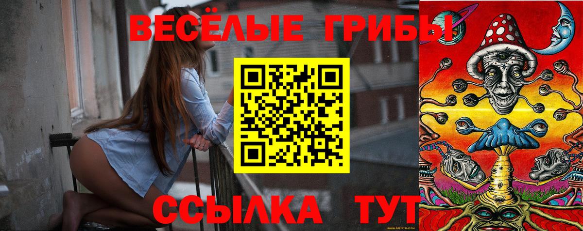 Галлюциногенные грибы прущие грибы Кирово-Чепецк