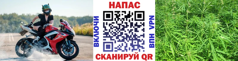 даркнет сайт  Кирово-Чепецк  Шишки марихуана Amnesia 